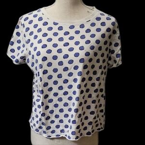 Maeve Anthrpologie Blue and White Boxy Short Sleeve Tee